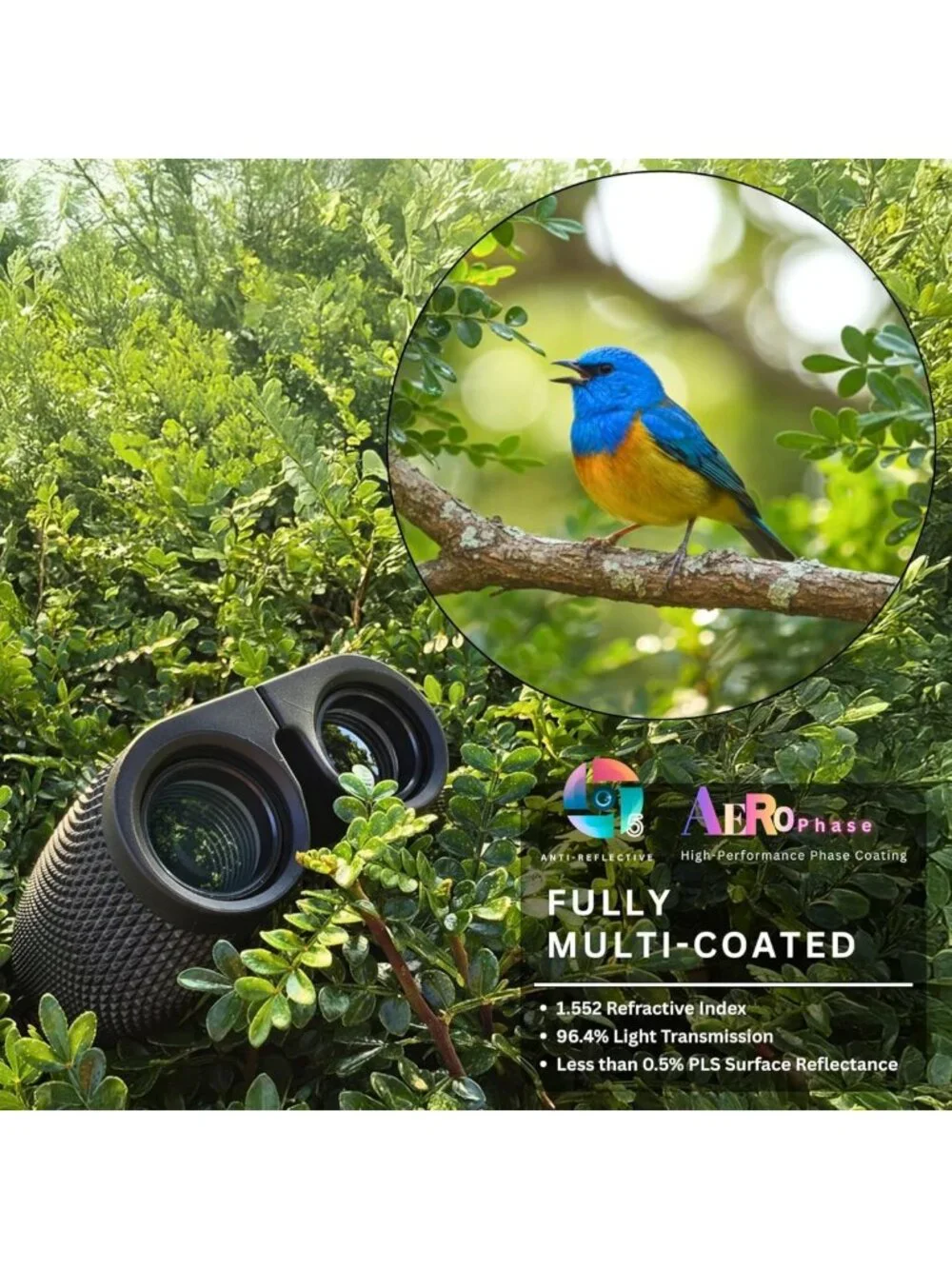 Compact 10x25 Binoculars for Adults & Kids - Perfect for Bird Watching, Concerts